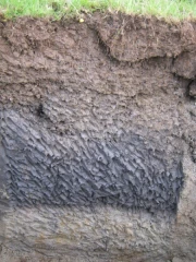 Attention aux études préparatoires !