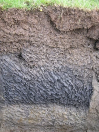 Attention aux études préparatoires !