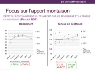 Dernier apport d’azote: pas avant deux nœuds, c’est bien et après, c’est carrément mieux !
