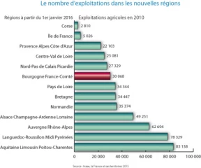 Radiographie agricole des 13 nouvelles régions