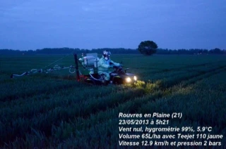Maximiser l’efficience des traitements fongicides 