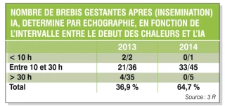 Inséminer les brebis sans hormone après détection automatisée des chevauchements