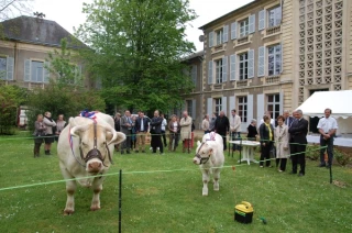Une mini-ferme dans le parc de la préfecture
