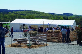 Portes ouvertes techniques Terre d’ovin: pleine réussite