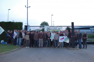 Les cotations des gros bovins entrée abattoir ne correspondent plus au marché