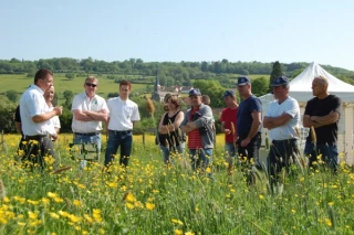Les prairies au cœur de la réussite des élevages