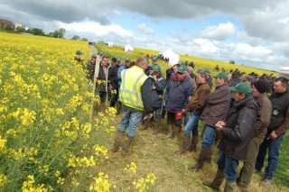 Une agriculture productive et respectueuse de l’environnement, c’est possible