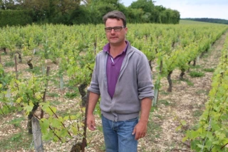 Le chablis sous les feux de l’actualité
