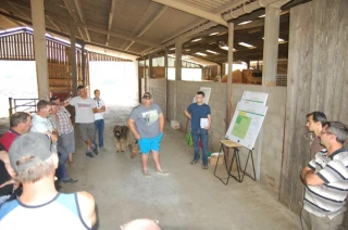 Fourrages et pâturage, les deux attraits des légumineuses