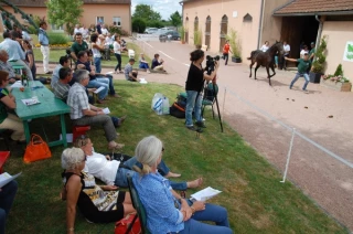 Cercy-la-Tour, vitrine de la filière équine nivernaise