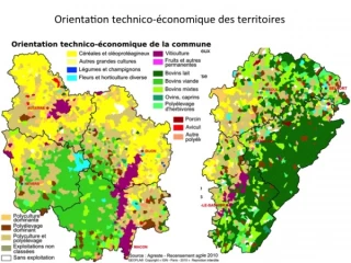 Pour la viande comme pour les prix,  ce qui compte c’est la courbe d’amélioration...