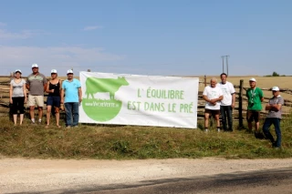 Les vaches vertes sont arrivées dans l’Yonne !