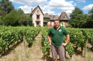 Les vignes commencent à fatiguer