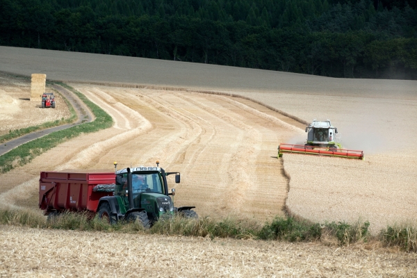 Une belle moisson d’été mais des disparités...