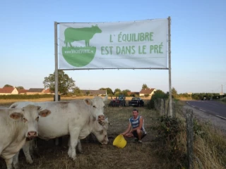 La vache verte est arrivée
