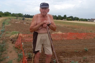 Chou blanc dans  les potagers ?