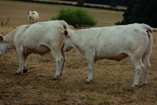 Anticiper pour passer le cap !