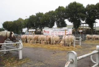 Un concours de qualité