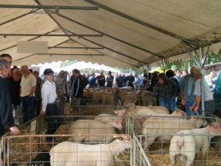 Encore une très bonne foire