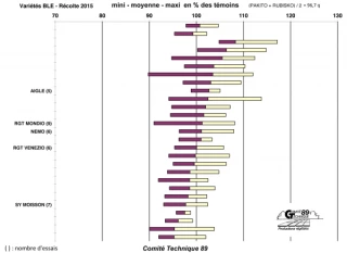 Une année record en quantité mais des protéines en défaut