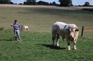 Une dizaine de Nivernais partis pour briller