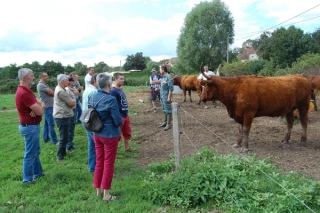 Belles cornes et gros atouts économique