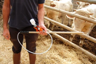 Les vaccinations ont commencé