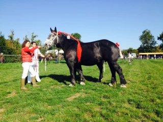 Les bons résultats nivernais