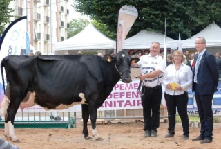 Un beau concours dans un contexte difficile