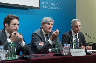 Un plan de relance  pour les filières viandes