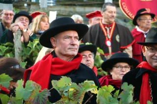 Les raisins de la butte