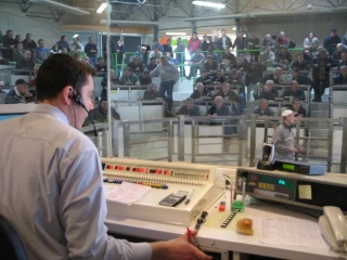 Les cadrans redémarrent doucement