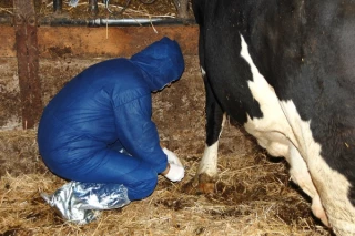 Un exercice salutaire, pour ne pas oublier la maladie