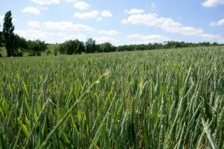 L’agriculture a des solutions