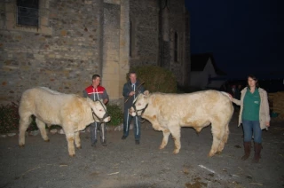 Plus d’animaux qu’en 2014