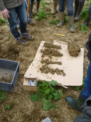 Des milieux vivants piliers de la production agricole