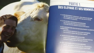 Interbev Bourgogne  met les points sur les i...