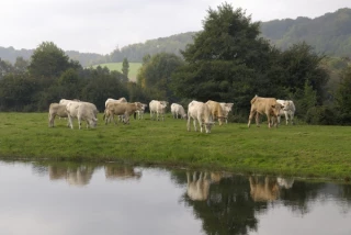 L’agriculture de demain:  une mosaïque de solutions