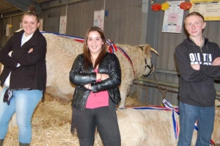 Les champions du pointage