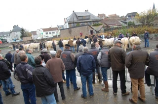 Affluence normale, des ventes en plus