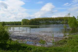 Le Ceser lance l’alerte