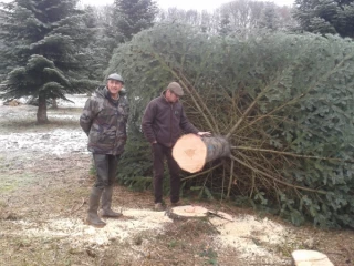 Un marché en hausse constante