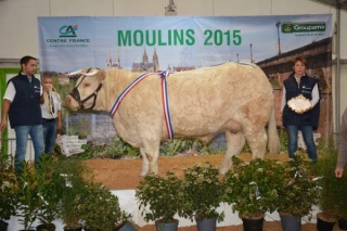 Palmarès de la finale