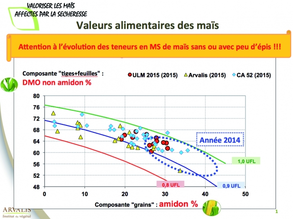 Valoriser les maïs affectés  par la sècheresse de l’été 2015