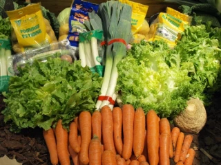 Le temps des contrastes