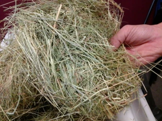 C’est aussi le conseil alimentaire