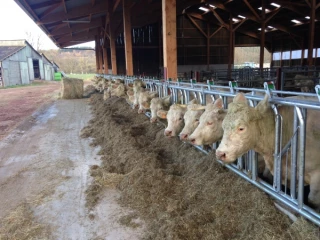 Résolument tournée vers l’avenir