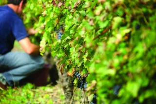 Les multiples enjeux pour 2020