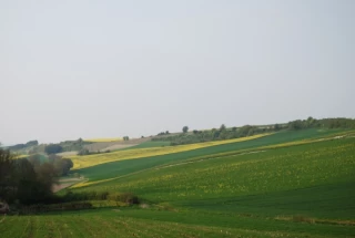 MAEC «systèmes» dans l’Yonne: une opportunité à saisir ?