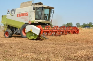 Bilan 2015 et conseils pour 2016